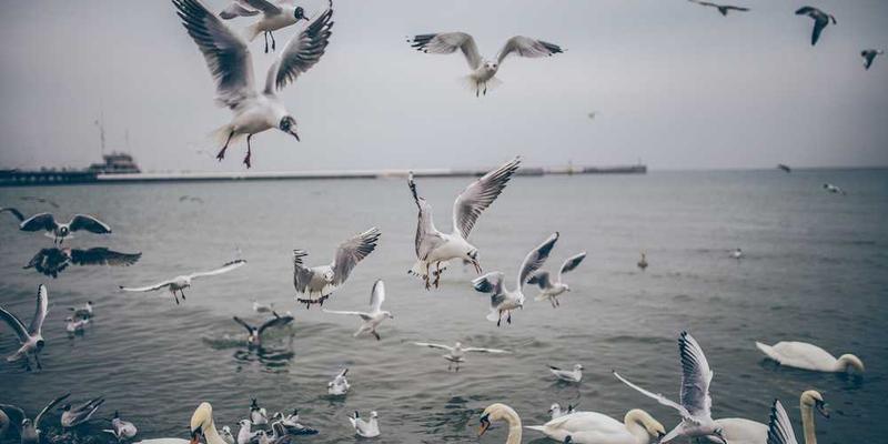 流感